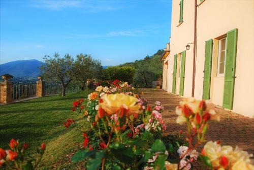 Apartamento Suite Matilde 1656