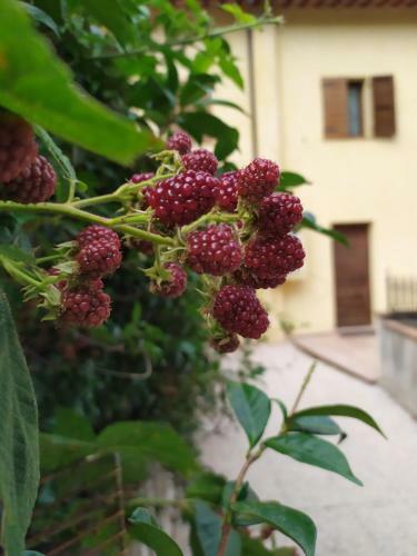 Apartamento Home Easy Home, Spoleto