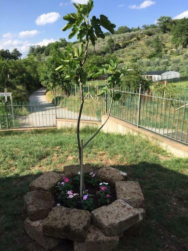 Apartamento Home Easy Home, Spoleto