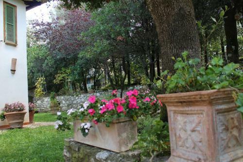 Casa Arezzola