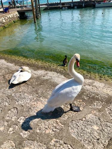 Juliet?s Apartment Garda Lake