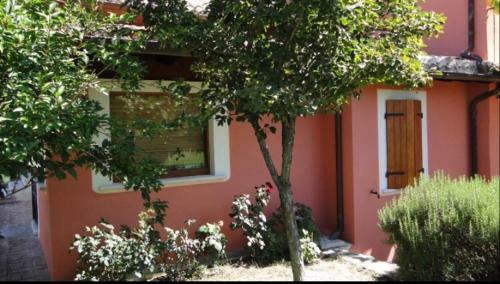 Apartamento Colleulivo