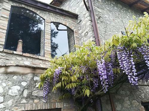 Casale Spoleto