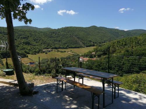 Casa Vacanze Palazzaccio