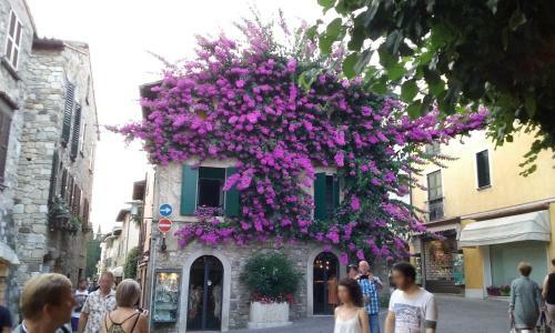 House And Green Sirmione - 2 Rooms Apartment