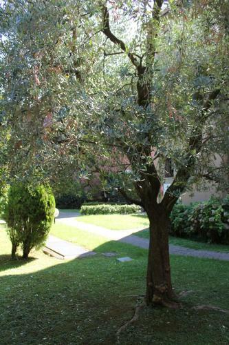 The Giona Apartment Sirmione