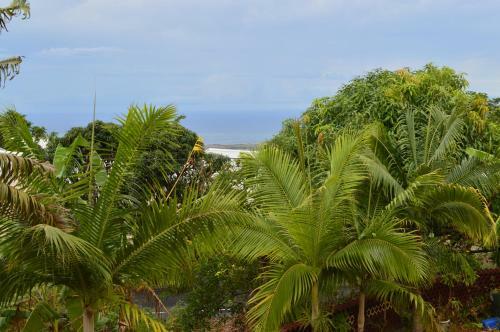 Apartamento Grand T3/4 - Ste Clotilde