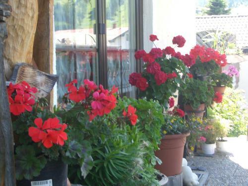 Apartamento Haus Cornelia