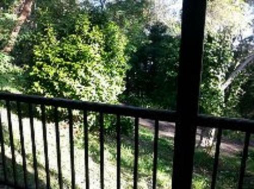 Bed & Breakfast Clarelee Belgrave Accommodation