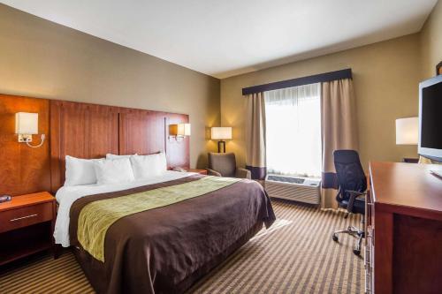 Hotel Comfort Inn & Suites North Woods Cross
