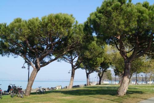 Apartamento Lugana Point