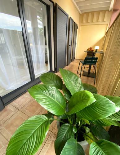 Apartamento S�lina By Les Suites D'alfred