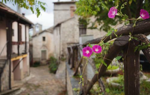 Casa Di Campagna