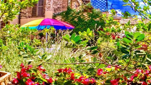 Apartamento Spoleto Bellasleeps 4 - 3