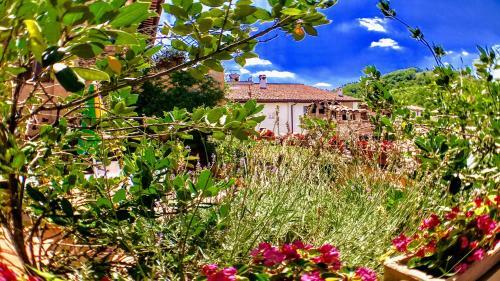 Apartamento Spoleto Bellasleeps 4 - 3
