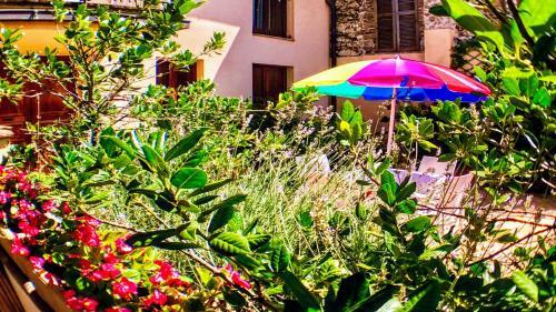 Apartamento Spoleto Bellasleeps 4 - 3