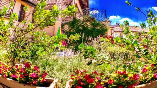 Apartamento Spoleto Bellasleeps 4 - 3