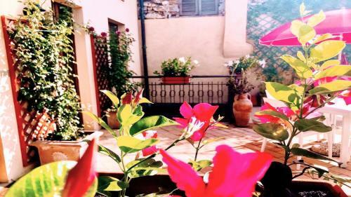 Apartamento Spoleto Bellasleeps 4spoletocar Not Necessary