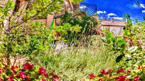 Apartamento Spoleto Bellasleeps 4spoletocar Not Necessary