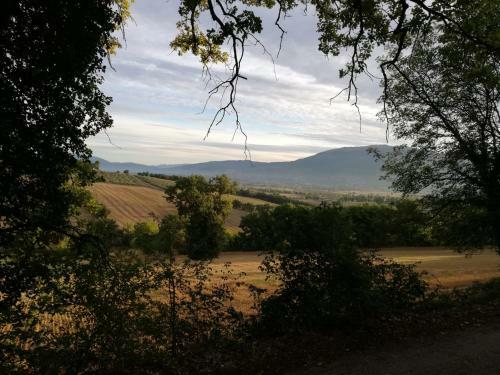 Apartamento Appartamento A Spoleto.