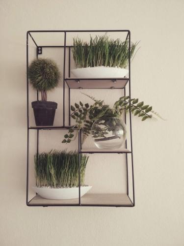 Apartamento Lana
