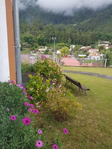 Le Pti Colibri D Olivier