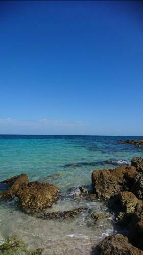 Apartamento Appartement Jolie