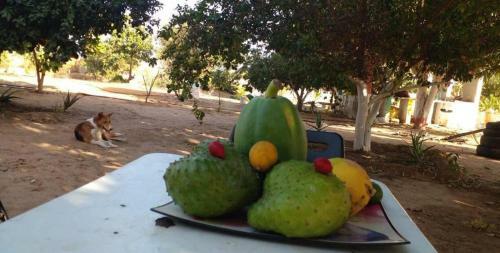 Bed & Breakfast Guest House La Majella