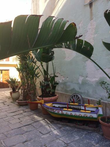 The Ronco Apartment