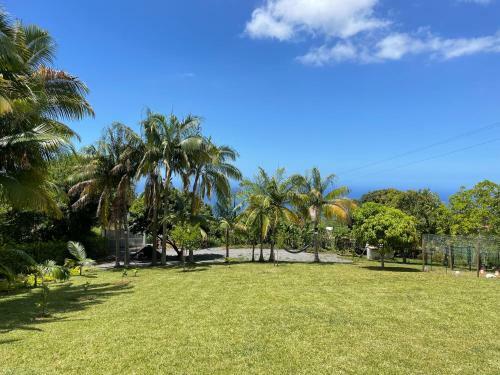 L'escapade Cr�ole Bungalow Bananier