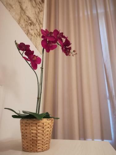Bed & Breakfast I Santi Coronati