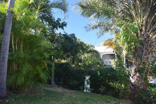 Apartamento Blue Palms