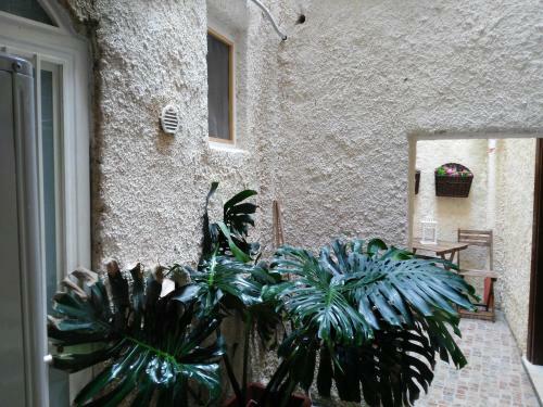 Giudecca Apartments