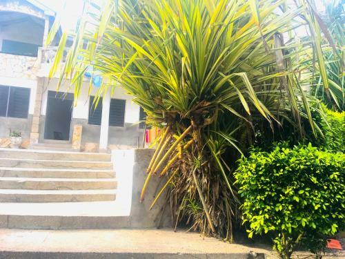 Bed & Breakfast Orakel Beach Lodge