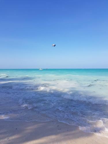 Ras Nungwi Breezes
