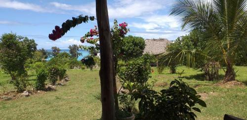 Ras Nungwi Breezes