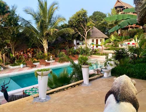 Kingstone Lodge Zanzibar