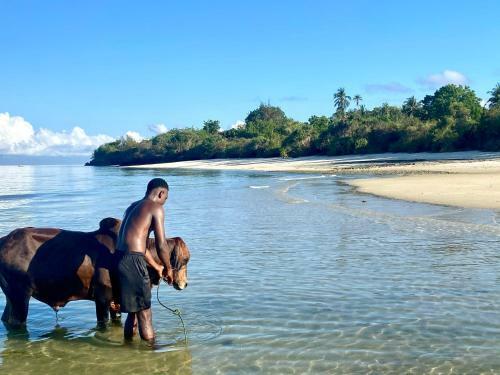 Kingstone Lodge Zanzibar