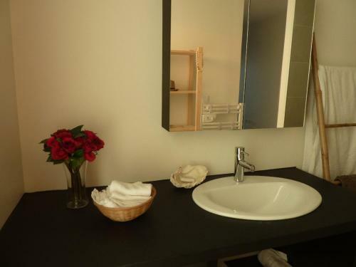 Apartamento Studio Les Alizes