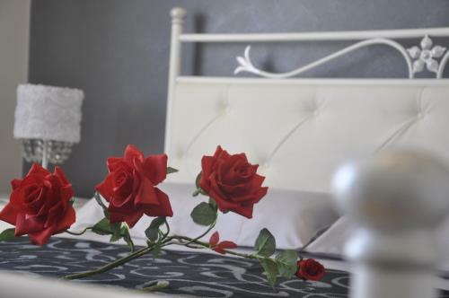 Bed & Breakfast Bnb Cheope