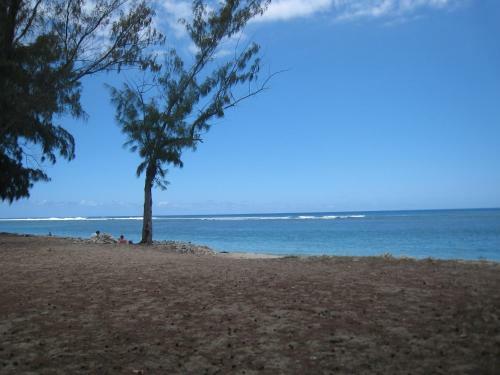 Apartamento Baliste Jardin De Corail