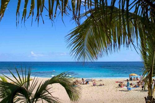 Apartamentos Ocean Appart
