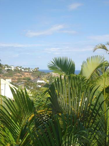 Apartamento Charmant Studio