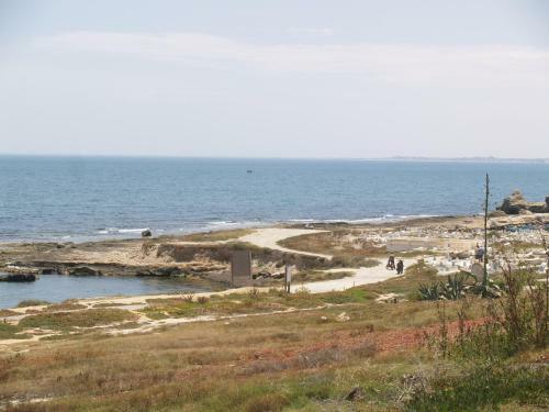 Mahdia City Center Apartment