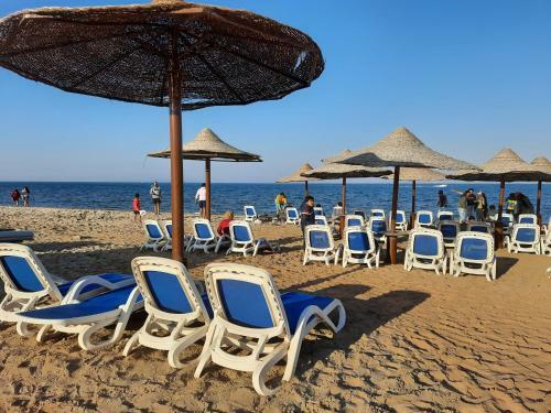 Apartamento Porto South 503