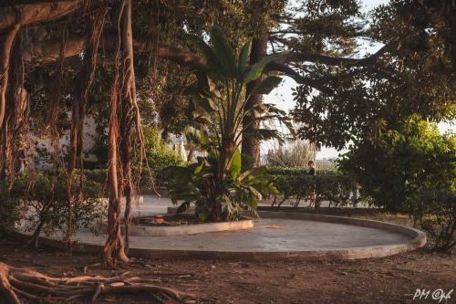 Apartamento Ficupalas