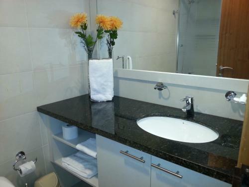 Apartamentos Torino