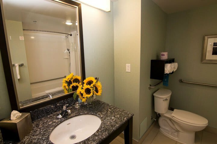 Hotel Hampton Inn & Suites By Hilton St. John's Airport