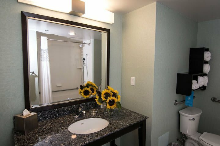 Hotel Hampton Inn & Suites By Hilton St. John's Airport