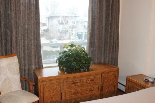 Petryla Estates Furnished Toronto Apartments